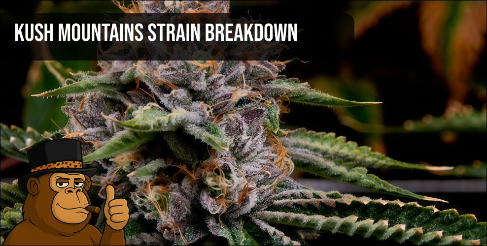 Kush Mountains landscape representing the origin of Kush cannabis strains