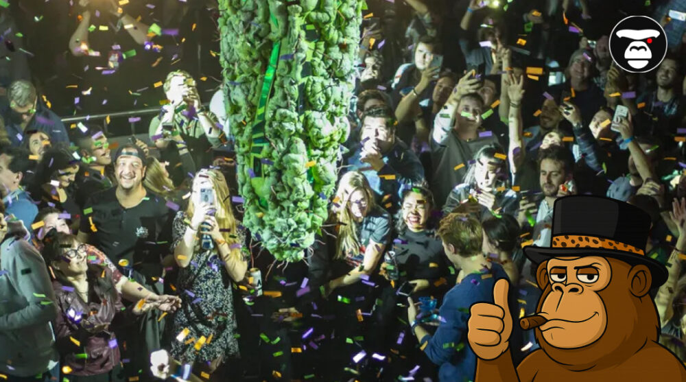 Best Strains for Social Gatherings A crowd of people at an event looking up at a massive, suspended cannabis bud.
