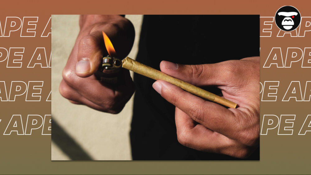 What Are Pre-Rolls and How to Choose the Right One Lighting a Pre-Roll