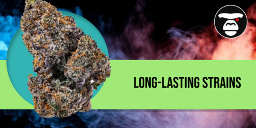 Long-Lasting Strains