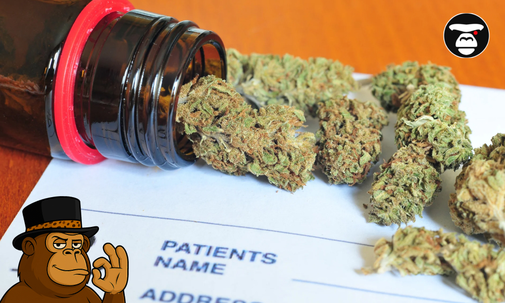 Dried cannabis buds spilling out of a brown prescription bottle onto a patient form.
