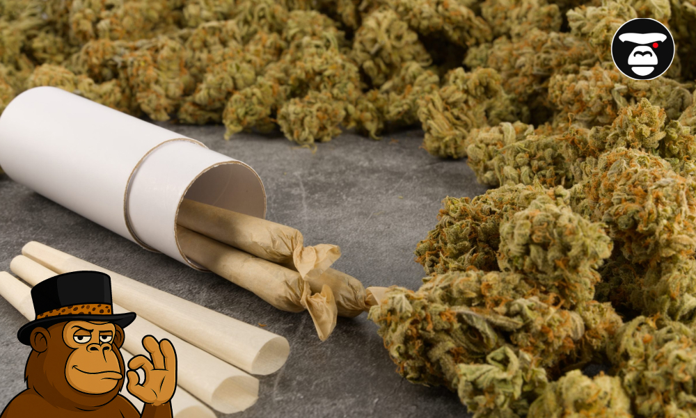 What Are Pre-Rolls and How to Choose the Right One Premium Flower and Pre-Rolls