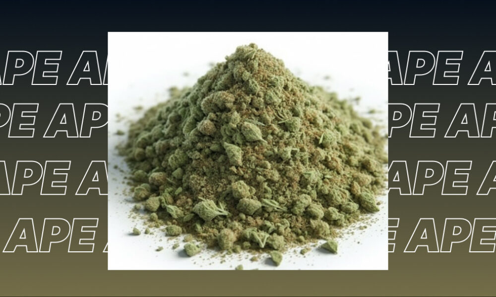 Best Weed Strains In Napa A dense, frosty cannabis bud with purple leaves and white resin crystals.