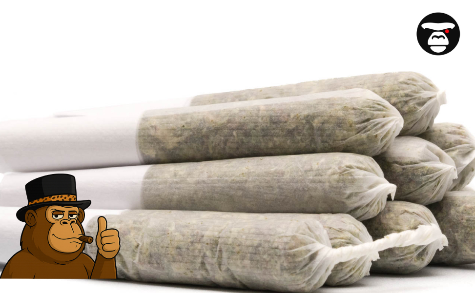 What Are Pre-Rolls and How to Choose the Right One Stacked Pre-Rolled Joints