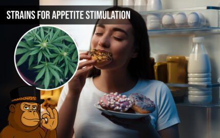 Strains for Appetite Stimulation