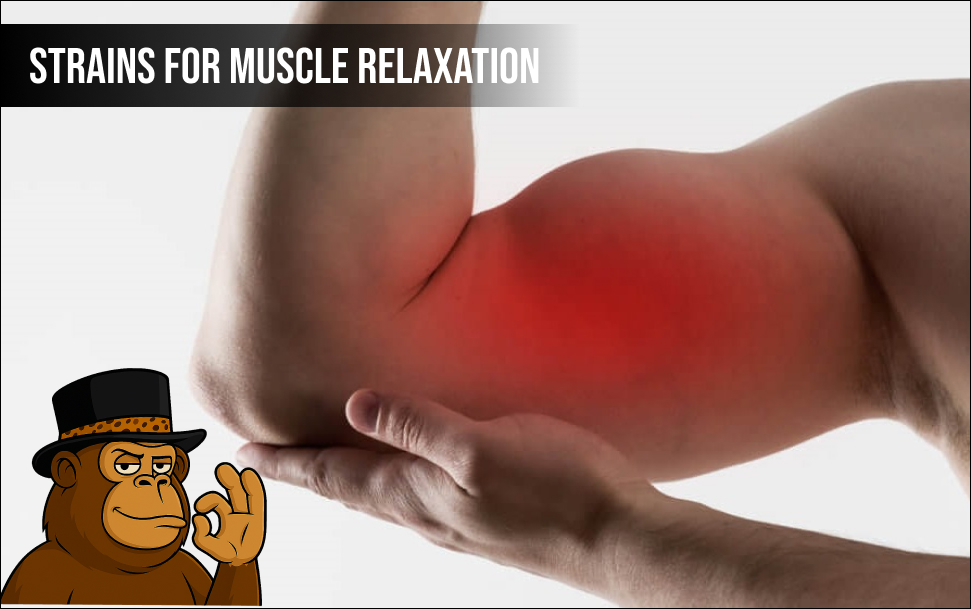 Strains for Muscle Relaxation
