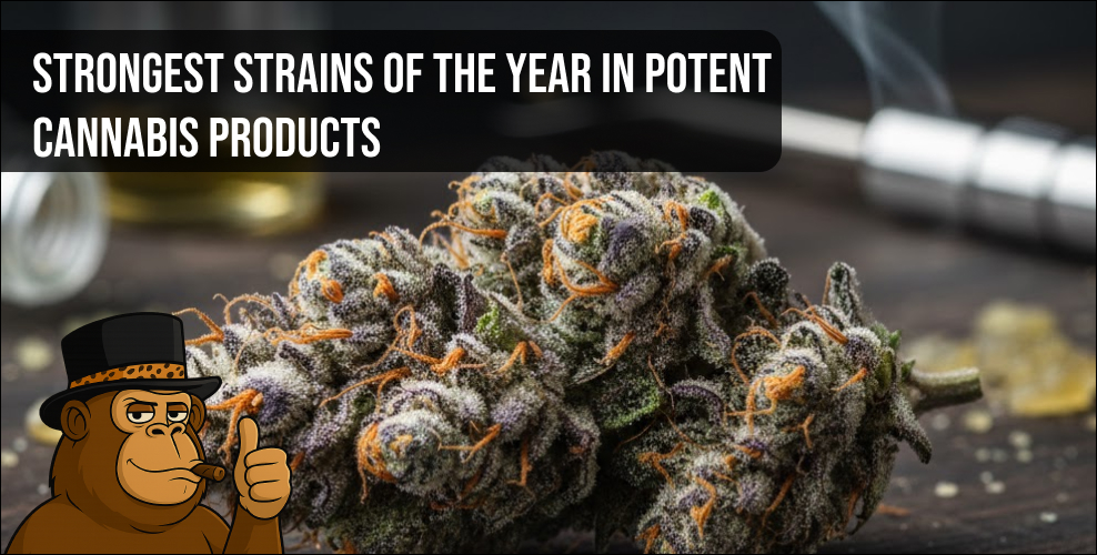 A close-up of a high-potency cannabis flower with vibrant orange hairs and dense, frosty trichomes.