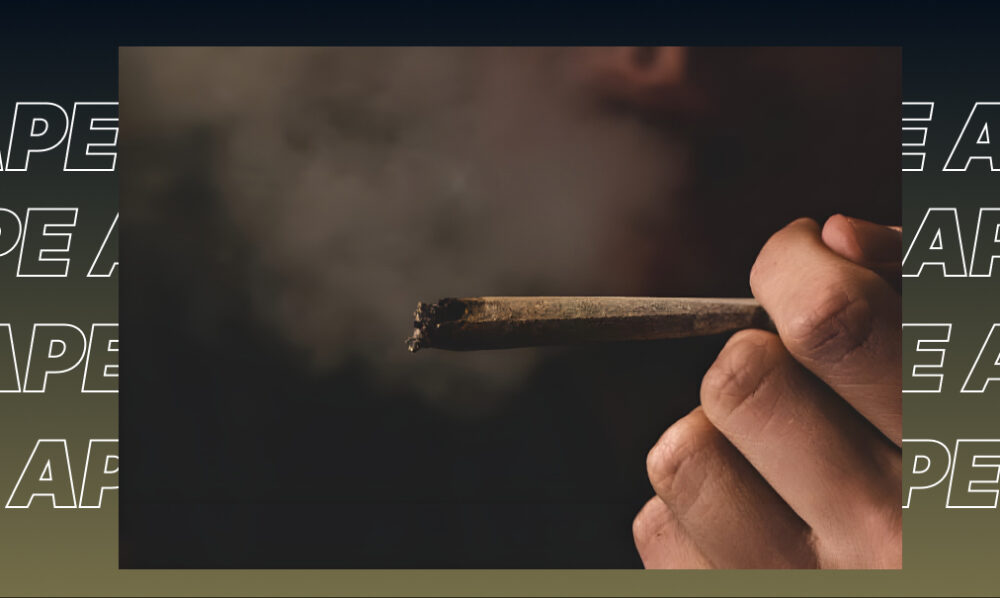 Vibrant green Sativa cannabis flower in Visalia