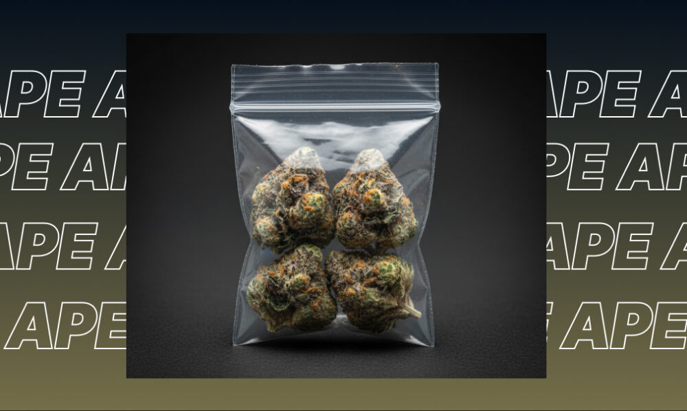 Best Weed Strains In Santa Cruz Best Weed Strains In Santa Cruz