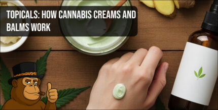 Person applying a small dab of green cannabis cream to the back of their hand.