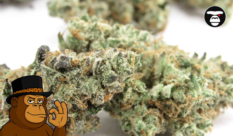 Best Weed Strains In Pasadena Trichome Detail Shot