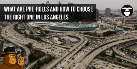 What Are Pre-Rolls and How to Choose the Right One in Los Angeles