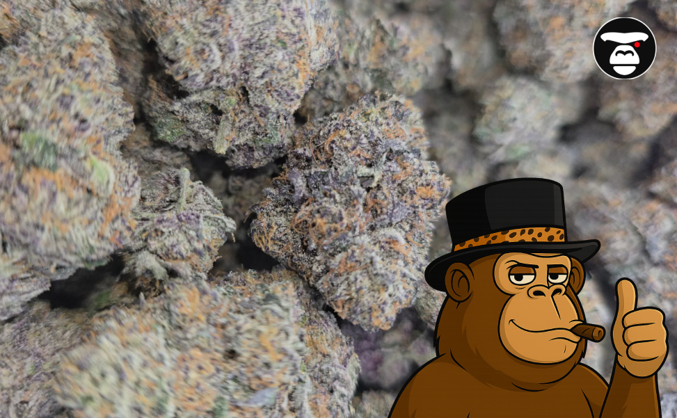 Premium Ice Cream Runtz buds featuring a mix of dark violet and bright lime green.