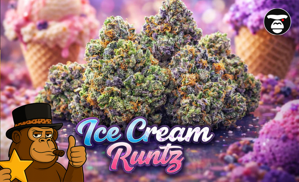 A collection of Ice Cream Runtz buds displayed next to vanilla beans and berries.