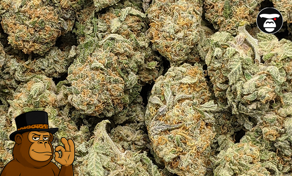 A group of Lemon OG Haze buds displayed with fresh lemon zest and pine needles.