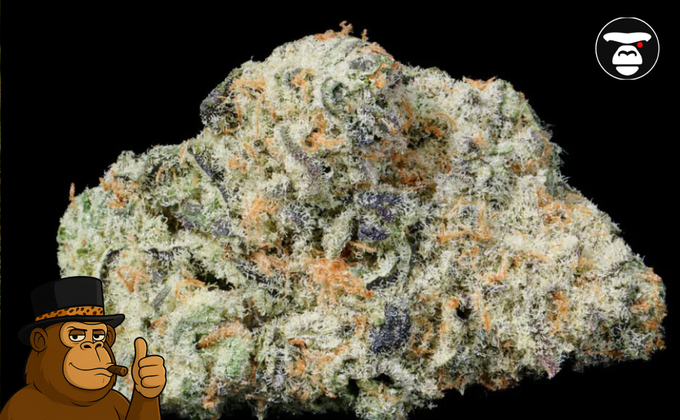 Article banner for Rainbow Runtz: Balanced Modern Hybrid featuring buds on a smoky background.