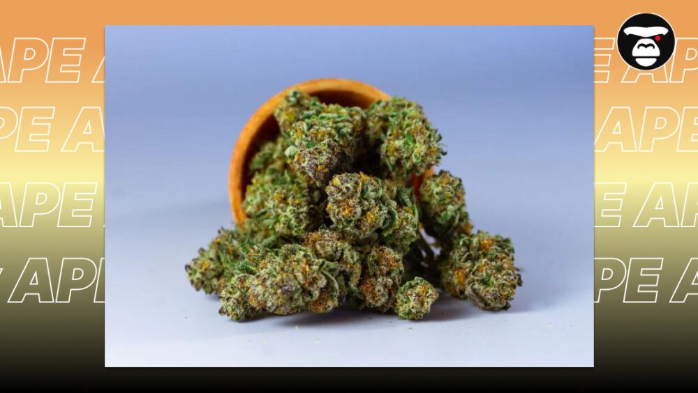 A variety of THCa flower strains prepared for vaping and smoking.