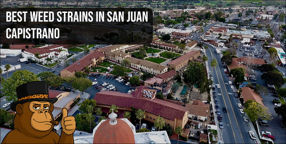 A scenic view of the Mission San Juan Capistrano stone arches under a clear blue California sky.