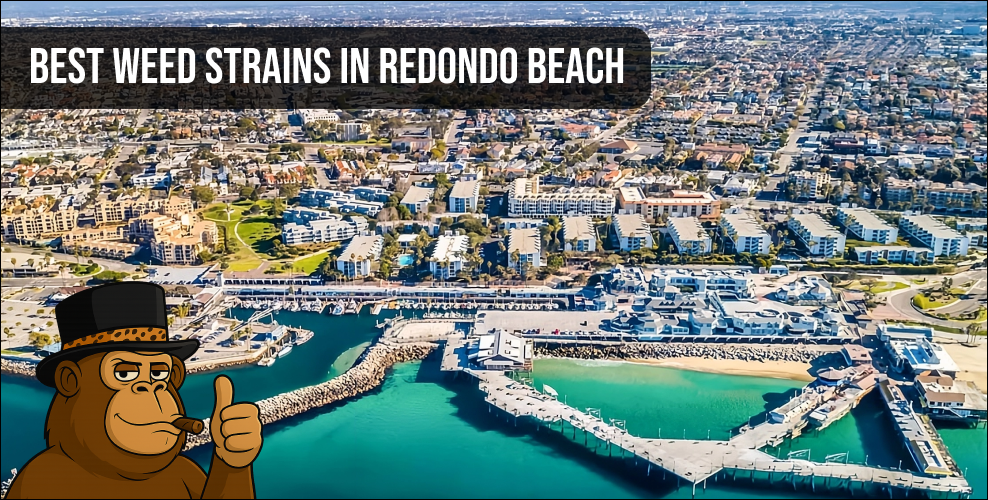 Scenic aerial view of the Redondo Beach Pier and harbor representing the local South Bay cannabis lifestyle.