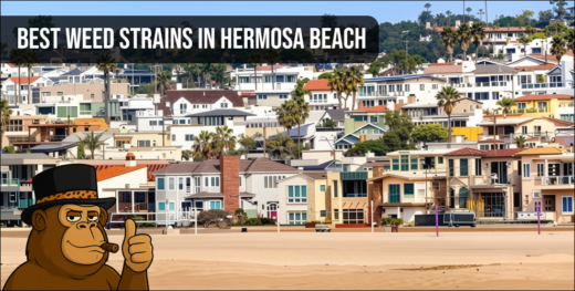 Panoramic aerial view of the Hermosa Beach pier and shoreline with a "Best Weed Strains" text overlay.