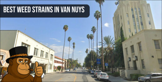Wide street view of Van Nuys Blvd representing the central location for finding the best weed strains in Van Nuys.
