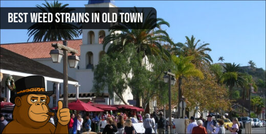 Panoramic view of Old Town San Diego buildings and greenery under a clear sky.
