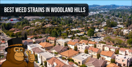 Aerial view of a Woodland Hills neighborhood showcasing where to find the best weed strains in Woodland Hills.