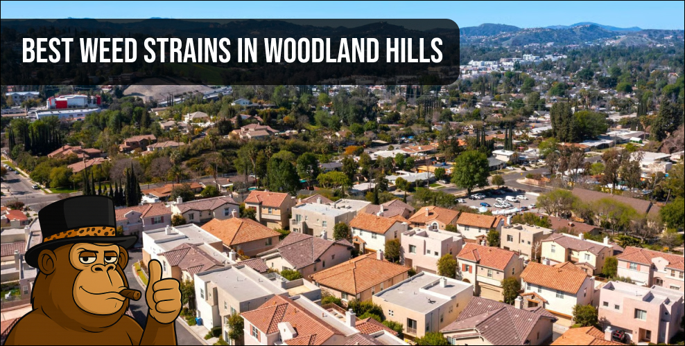 Aerial view of a Woodland Hills neighborhood showcasing where to find the best weed strains in Woodland Hills.