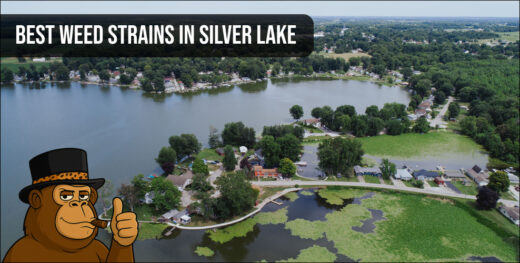 Sunset view of the Silver Lake Reservoir area representing the hub for the best weed strains in Silver Lake.