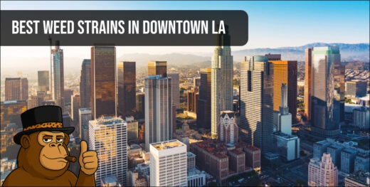 A high-angle view of the Downtown Los Angeles skyline featuring a banner for the best weed strains in Downtown LA.