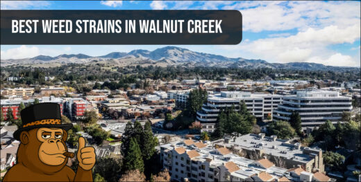 Aerial landscape of Walnut Creek buildings and rolling hills featuring a banner for best weed strains in Walnut Creek.