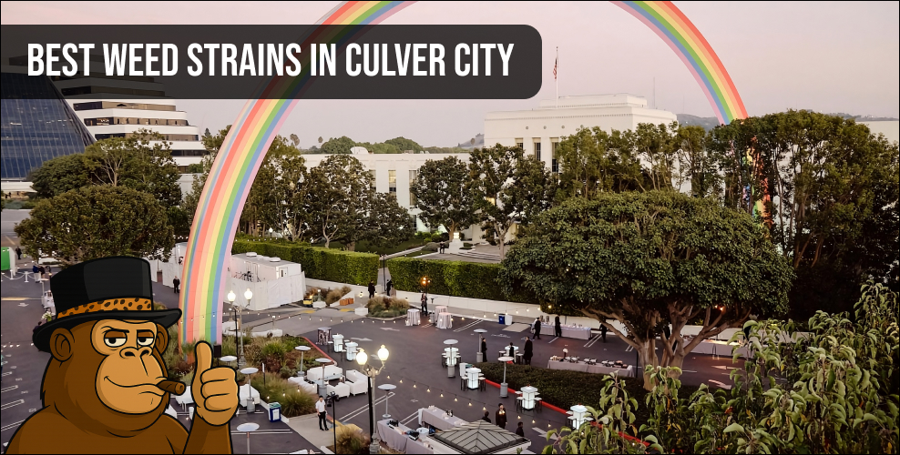 A scenic view of Culver City featuring a rainbow over a local event plaza and white buildings.