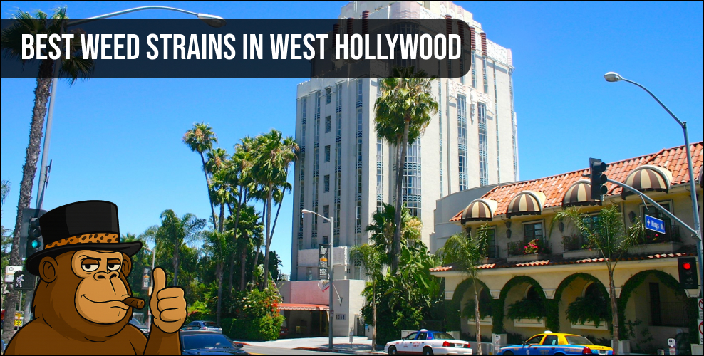 A scenic view of the West Hollywood area with a prominent banner advertising the best weed strains in West Hollywood.