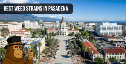 An aerial view of Pasadena City Hall with a banner overlay reading "Best Weed Strains in Pasadena."