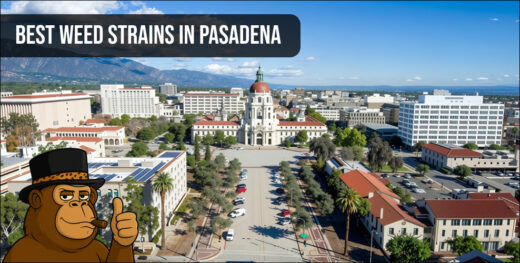An aerial view of Pasadena City Hall with a banner overlay reading "Best Weed Strains in Pasadena."