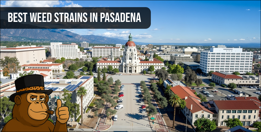 An aerial view of Pasadena City Hall with a banner overlay reading "Best Weed Strains in Pasadena."