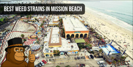 Aerial view of the Mission Beach Texas boardwalk and amusement park for local weed delivery.