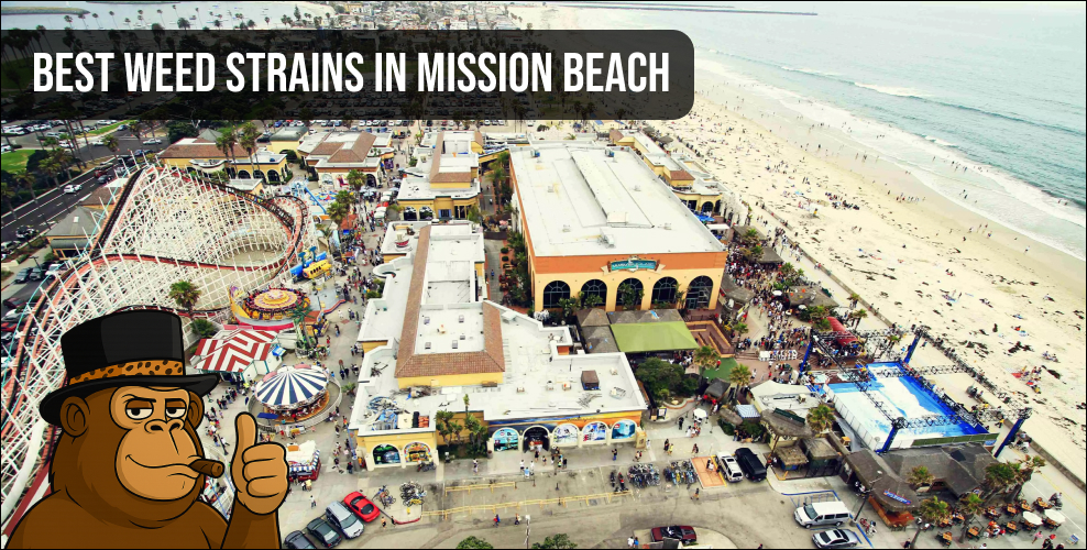 Aerial view of the Mission Beach Texas boardwalk and amusement park for local weed delivery.