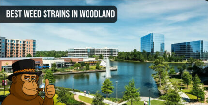Panoramic view of Woodland buildings with a lake and "Best Weed Strains in Woodland" text.