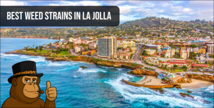 Aerial view of La Jolla Cove and coastline featuring the "Best Weed Strains in La Jolla" banner.
