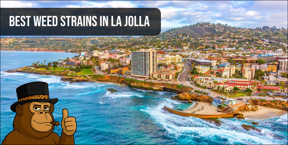 Aerial view of La Jolla Cove and coastline featuring the "Best Weed Strains in La Jolla" banner.