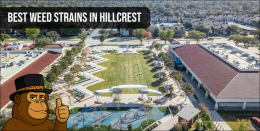 Aerial view of a Hillcrest Texas residential and shopping area with green spaces.