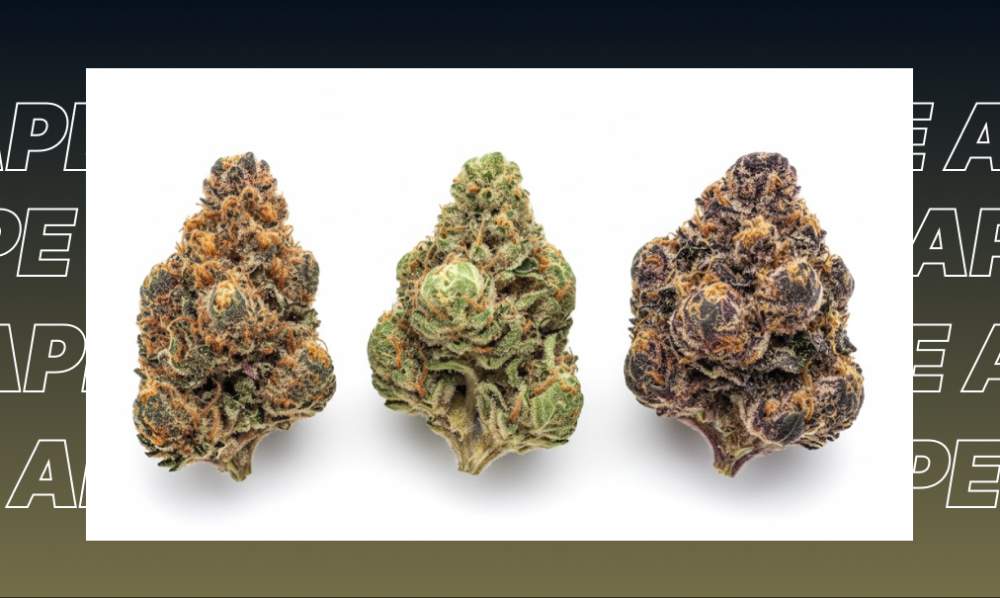 Best Weed Strains In San Bernardino Three distinct cannabis nugs showing different colors and structures against a white background.