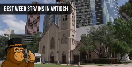 Panoramic view of Fairfield architecture with a "Best Weed Strains in Antioch" overlay.