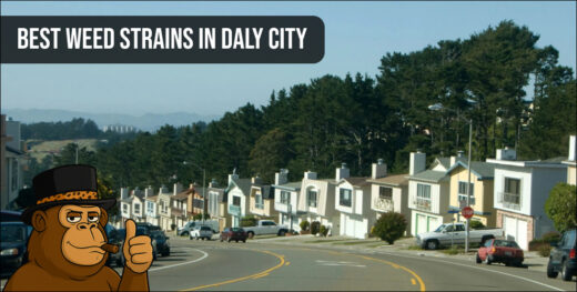 A scenic view of a Daly City residential street with rows of houses on a hill.