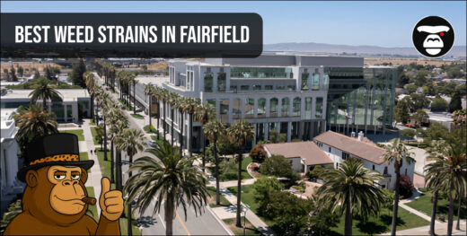 Aerial view of Fairfield buildings and palm trees with a "Best Weed Strains in Fairfield" banner.