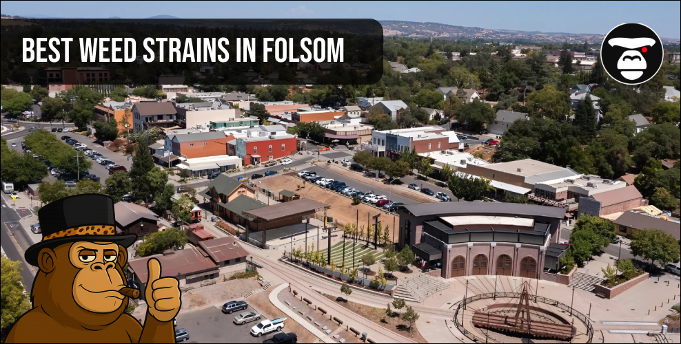 Aerial view of Folsom city streets with a branded gorilla mascot and "Best Weed Strains in Folsom" text.