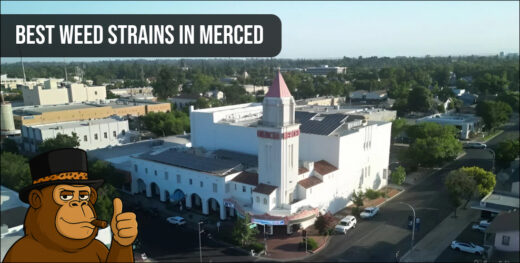 Aerial view of Merced, CA with a gorilla mascot and the text "Best Weed Strains in Merced".