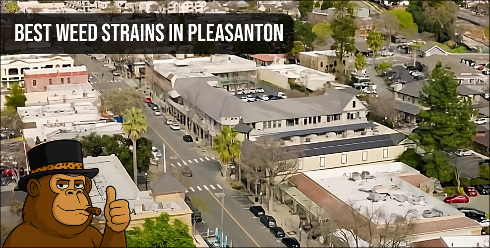 Aerial view of Pleasanton city skyline with Best Weed Strains text overlay.