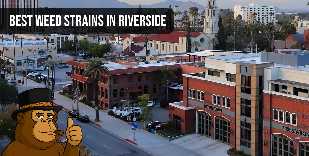 erial view of downtown Riverside California for weed delivery services.